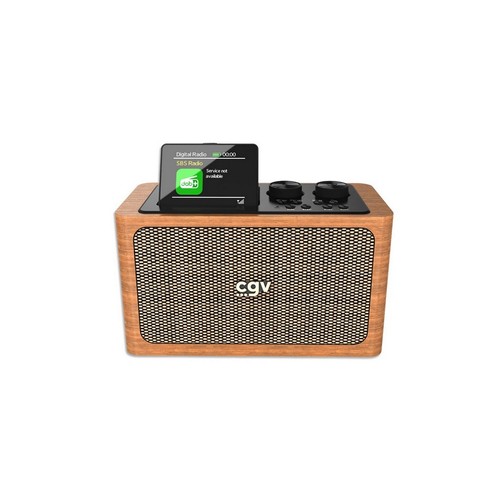 Cgv radio portable - radio, numérique