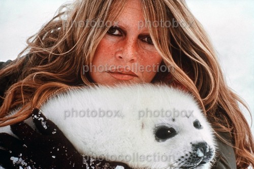 Brigitte bardot exclusive - *,