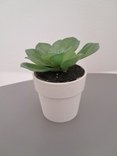 Décoration faux cactus IKEA