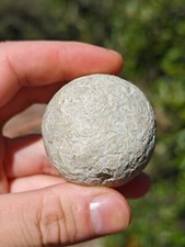 Rare Authentique Bezoard Blanc