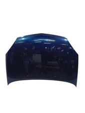 Capot RENAULT CLIO 2 PHASE 2 7751473024