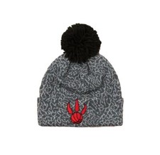 Toronto Raptors Jordan Print