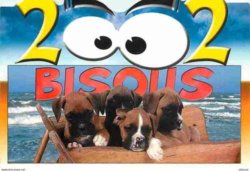 Carte postale animaux - carte,
