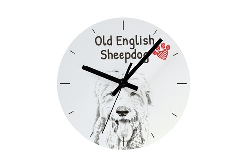 Chien berger anglais - berger,