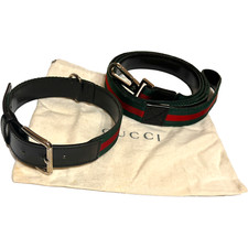 Collier pour chien GUCCI