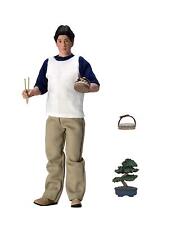 The Karate Kid Daniel Larusso