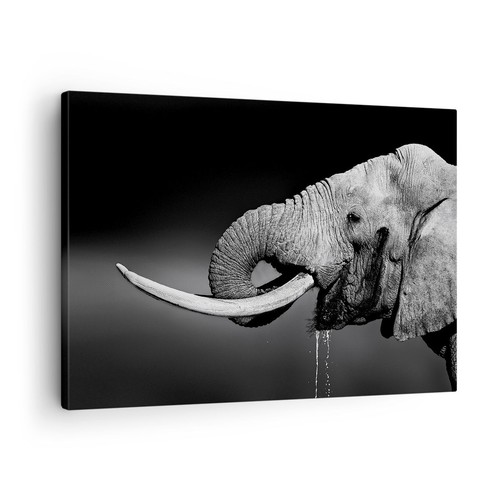 Impression sur toile - impression,
