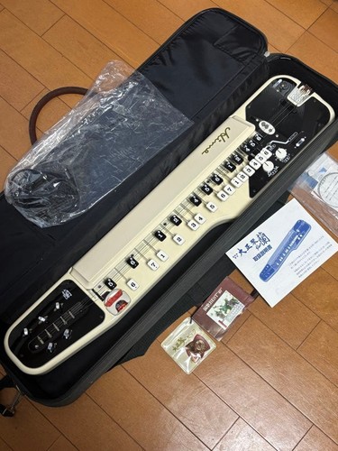 Suzuki electric taishogoto - electric,