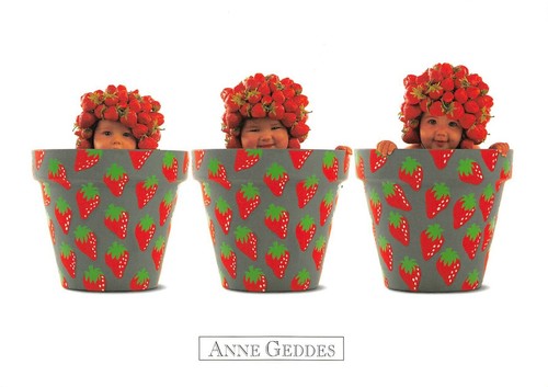 Carte postale anne geddes - carte,