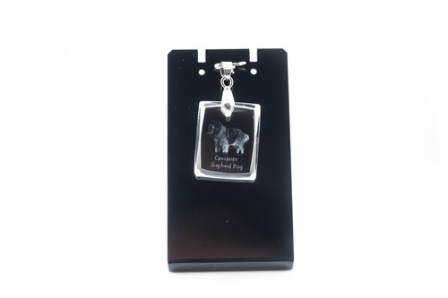 Chien caucase du - chien,