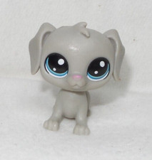 LITTLEST PETSHOP LPS #1-107 HASBRO DOG CHIEN BRAQUE DE WEIMAR BILL WEYMARAN