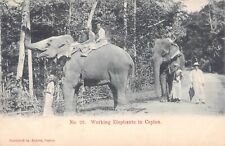 CPA CEYLON WORKING ELEPHANTS IN CEYLON