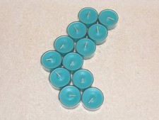 Partylite Indian Blue Lotus &