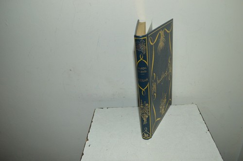 Livre illustre ballivet marcel - ballivet,