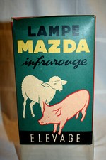 grosse Lampe MAZDA Infrarouge Aviculture /Elevage, boite d' origine,250w