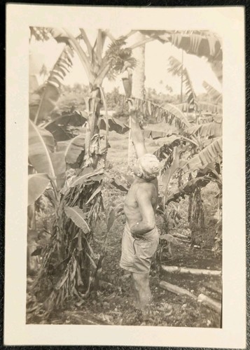 Vintage 1940 photograph - vintage,
