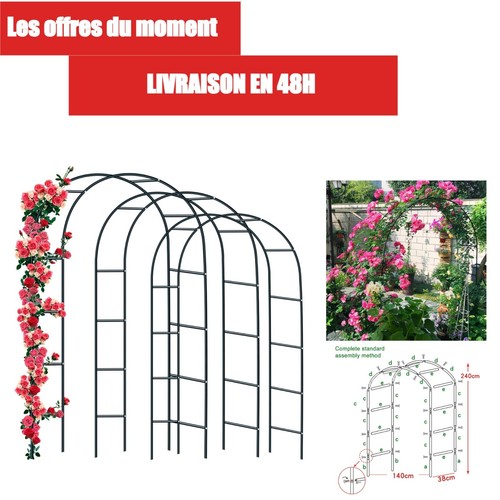 Forever speed arche rose - forever,