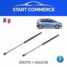 2 x vérins de coffre arrière