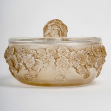 Boite Primevères Verre Blanc