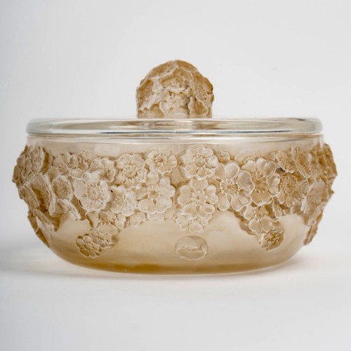 Boite primevères verre - boite,