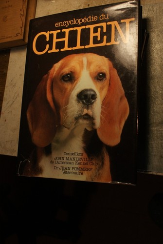 Encyclopédie chien - chien,