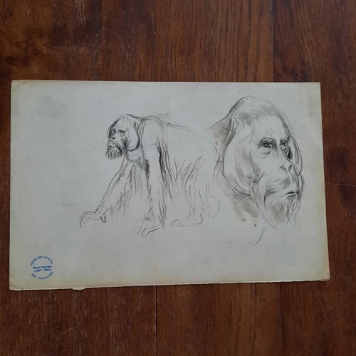 Dessin ancien animalier - dessin, fond