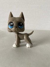Authentique Littlest Petshop Chien Danois #184