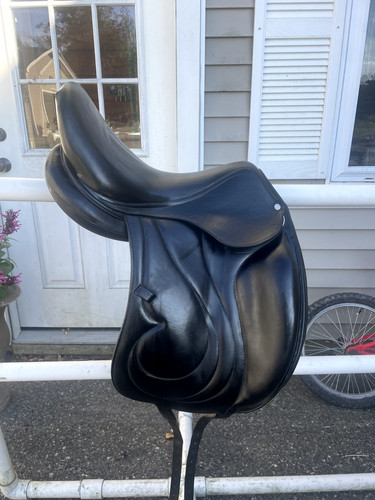 Antares cadence dressage - cadence,