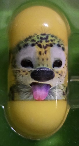 Marsupilami sur piste - sur,