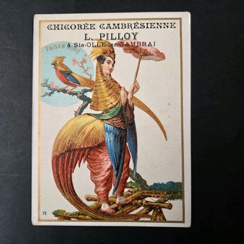 Chromo femme oiseau faisan - oiseau,