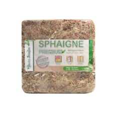 Sphaigne du Chili pour les