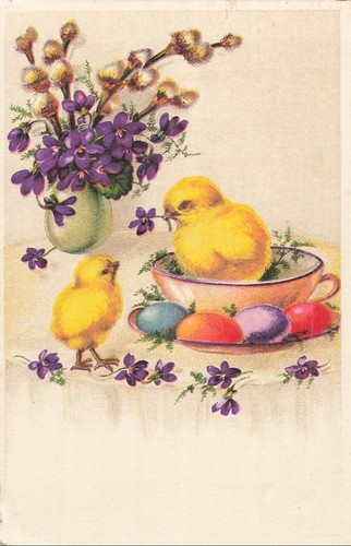 Illustree poussin dans - cp,