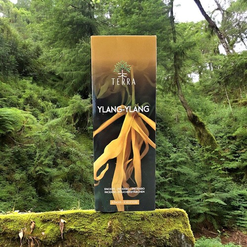 Encens indien ylang - indien, ylang-ylang