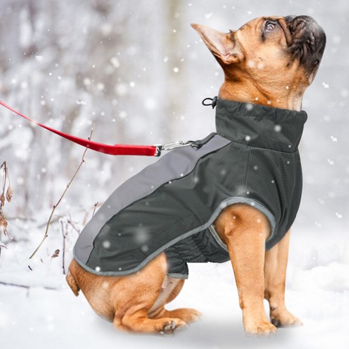Veste imperméable pour chien - imperméable,