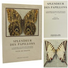 SPLENDEURS DES PAPILLONS -