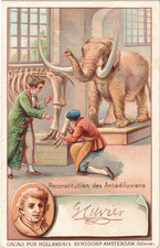 Cacao Pur Hollandais Bensdorp