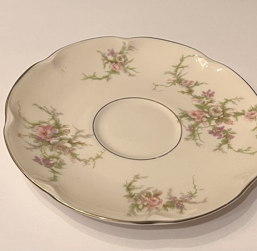 Theodore haviland 4 - haviland, 5