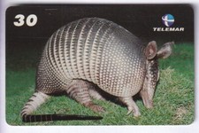 AMERIQUE  TELECARTE /