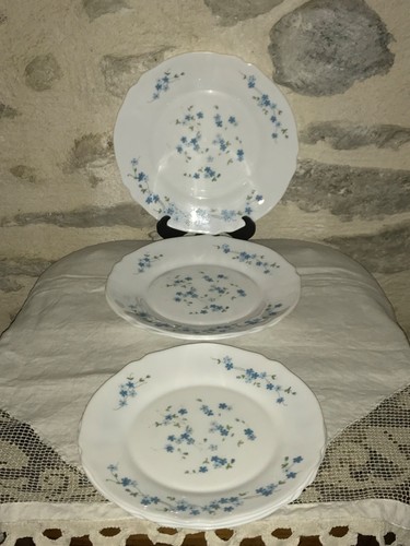 Lot assiettes plates - lot, de