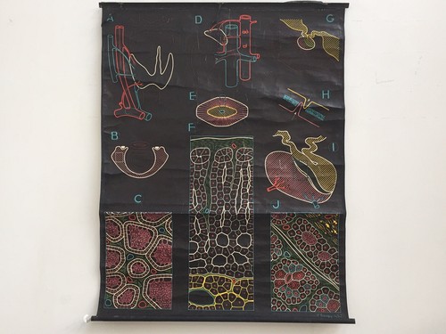 Affiche scolaire ancienne dr - scolaire, ancienne,