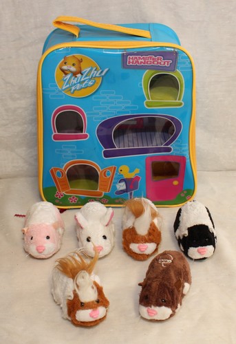 Zhu pet hamsters - zhu,
