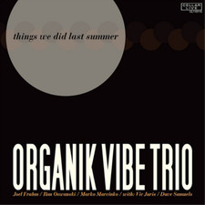 Organik Vibe Trio Things We