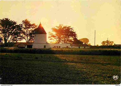 Carte postale ile de - postale,