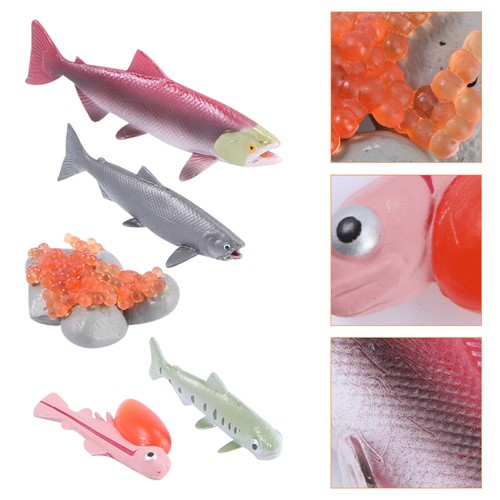 Pcs jouet aquarium - , 4