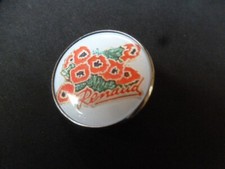 pin badge metal CELEBRITE pin's RENAUD