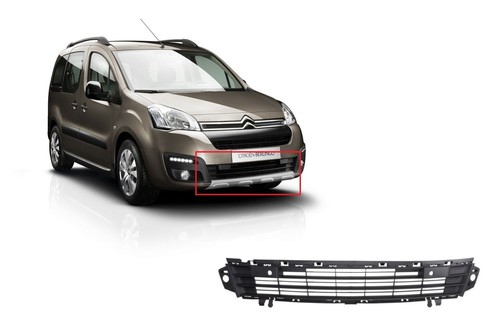 Grille pare chocs avant - pare, centre