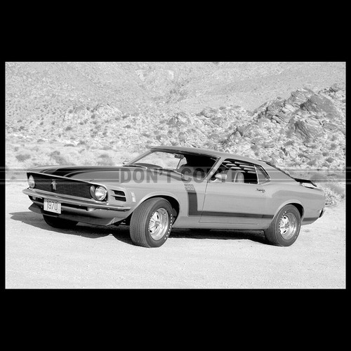 Photo 006747 ford mustang - photo,
