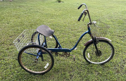 Adult trike tricycle wheel - trike, 3-wheel