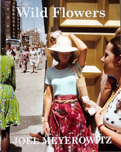 Wild flowers joel meyerowitz - flowers,