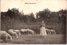 25277 cpa 36 Bergère Berrichonne